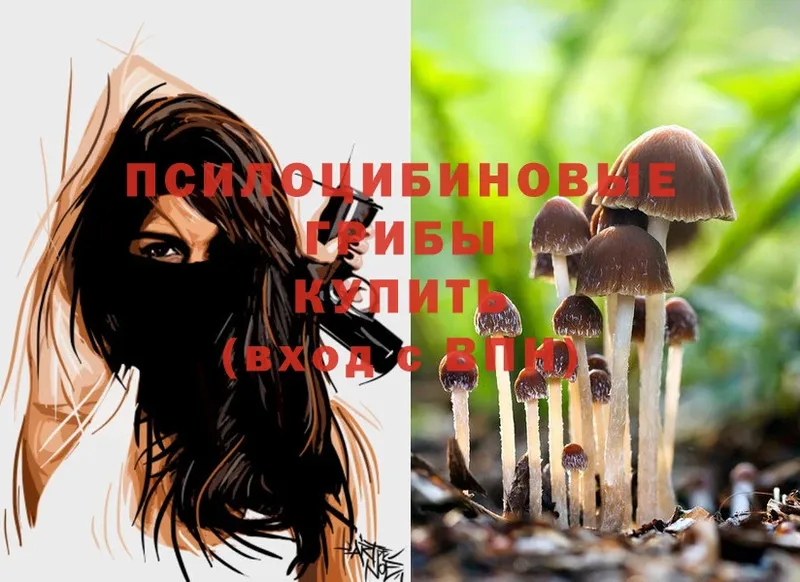 Псилоцибиновые грибы Magic Shrooms  где купить наркотик  Санкт-Петербург 